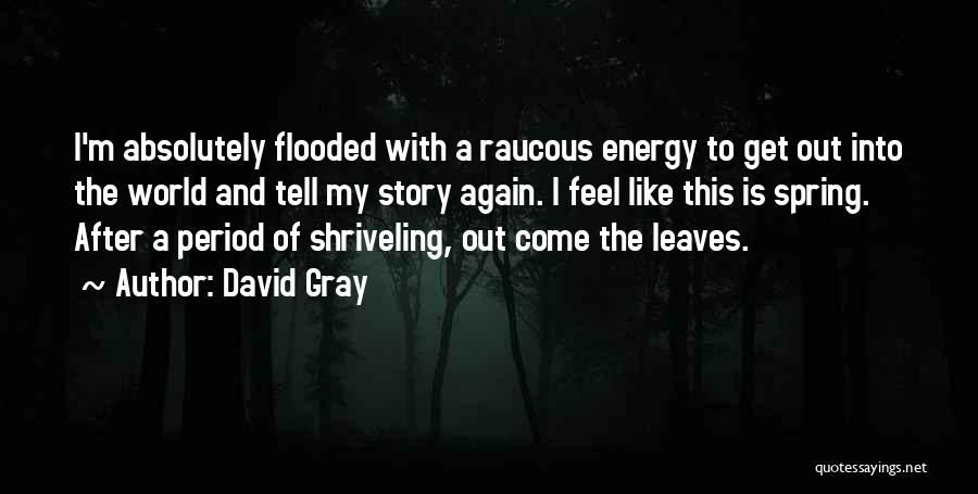 David Gray Quotes: I'm Absolutely Flooded With A Raucous Energy To Get Out Into The World And Tell My Story Again. I Feel