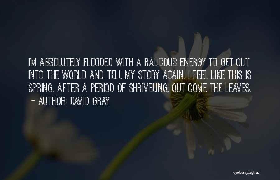 David Gray Quotes: I'm Absolutely Flooded With A Raucous Energy To Get Out Into The World And Tell My Story Again. I Feel