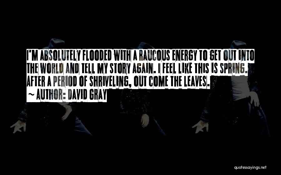 David Gray Quotes: I'm Absolutely Flooded With A Raucous Energy To Get Out Into The World And Tell My Story Again. I Feel