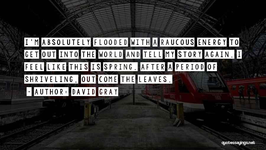 David Gray Quotes: I'm Absolutely Flooded With A Raucous Energy To Get Out Into The World And Tell My Story Again. I Feel