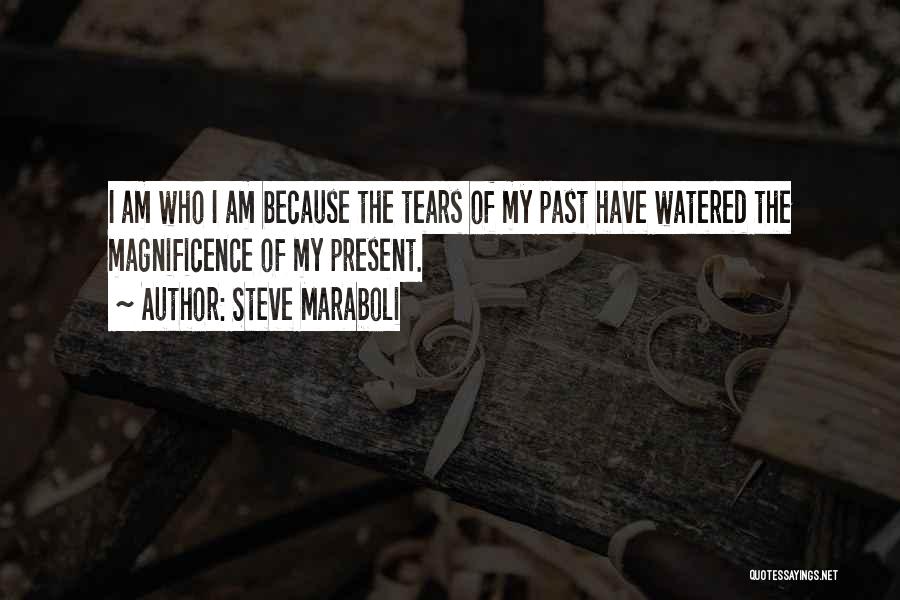 Steve Maraboli Quotes: I Am Who I Am Because The Tears Of My Past Have Watered The Magnificence Of My Present.