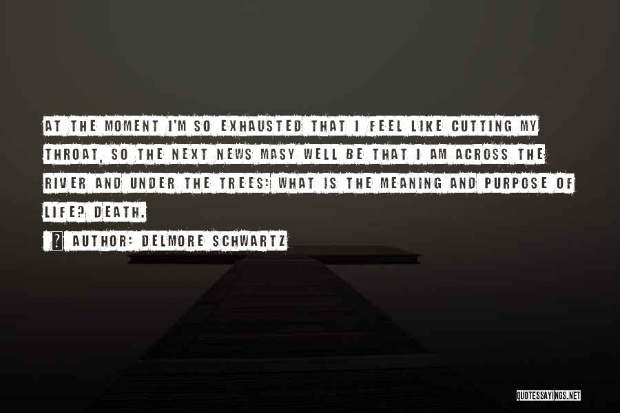 Delmore Schwartz Quotes: At The Moment I'm So Exhausted That I Feel Like Cutting My Throat, So The Next News Masy Well Be