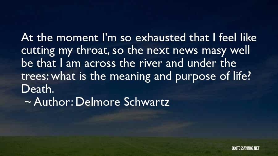 Delmore Schwartz Quotes: At The Moment I'm So Exhausted That I Feel Like Cutting My Throat, So The Next News Masy Well Be