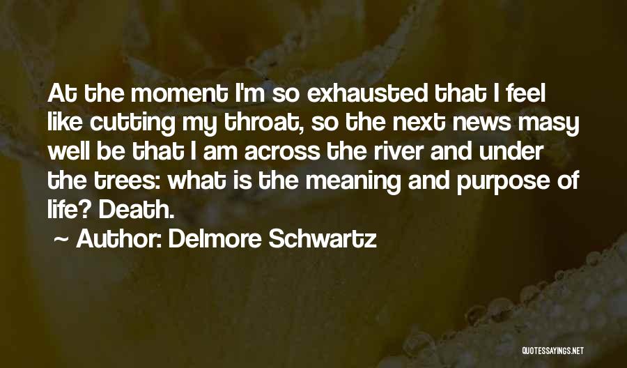 Delmore Schwartz Quotes: At The Moment I'm So Exhausted That I Feel Like Cutting My Throat, So The Next News Masy Well Be