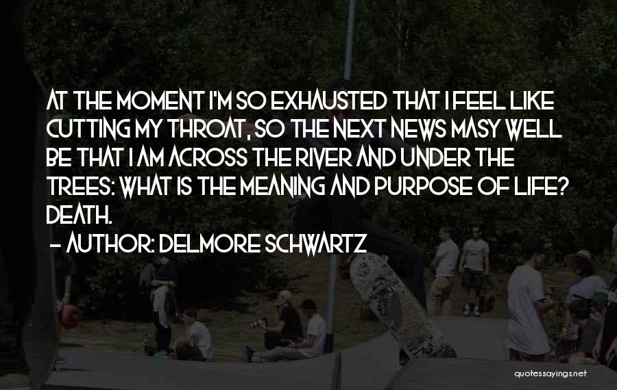 Delmore Schwartz Quotes: At The Moment I'm So Exhausted That I Feel Like Cutting My Throat, So The Next News Masy Well Be