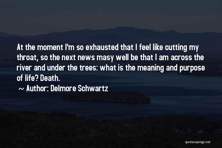 Delmore Schwartz Quotes: At The Moment I'm So Exhausted That I Feel Like Cutting My Throat, So The Next News Masy Well Be