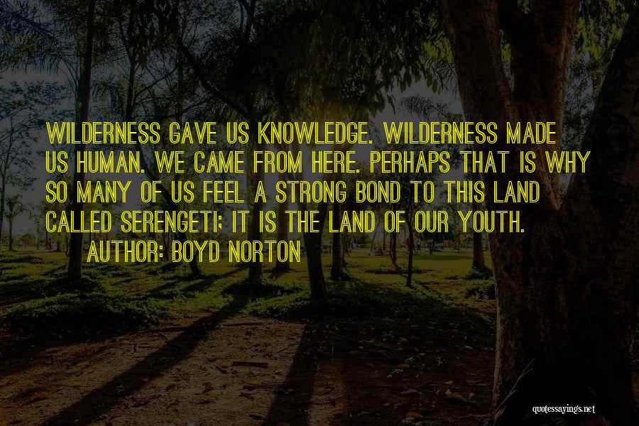 Boyd Norton Quotes: Wilderness Gave Us Knowledge. Wilderness Made Us Human. We Came From Here. Perhaps That Is Why So Many Of Us