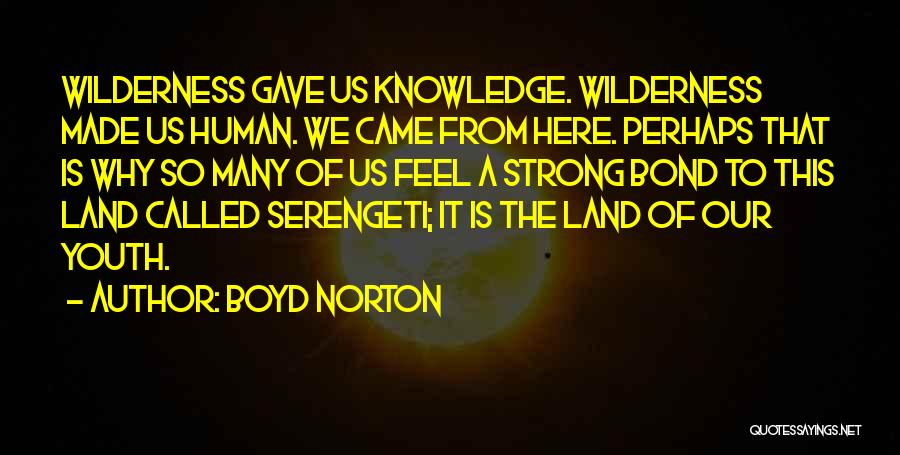 Boyd Norton Quotes: Wilderness Gave Us Knowledge. Wilderness Made Us Human. We Came From Here. Perhaps That Is Why So Many Of Us