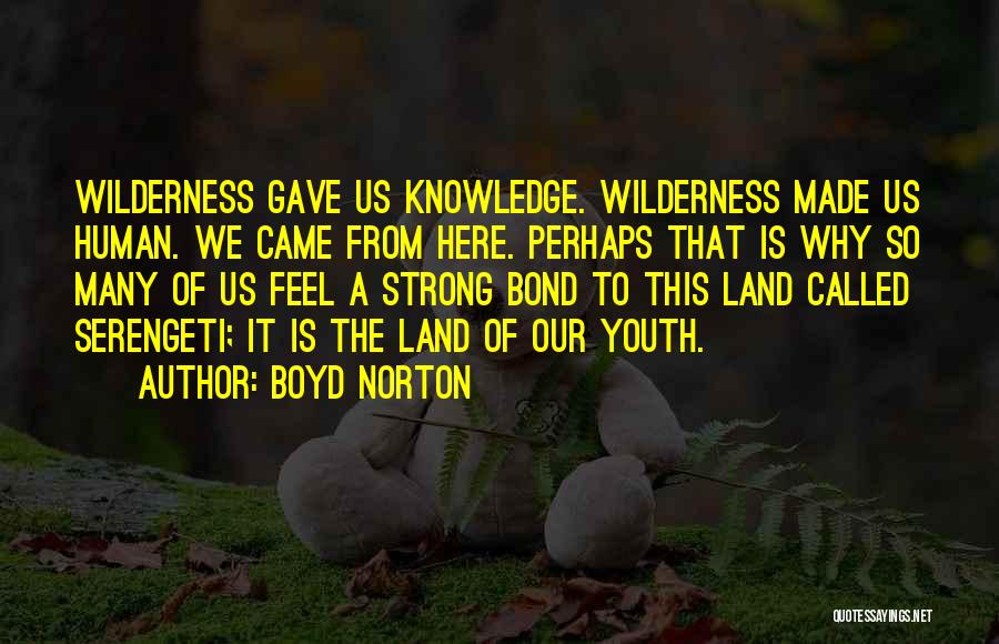 Boyd Norton Quotes: Wilderness Gave Us Knowledge. Wilderness Made Us Human. We Came From Here. Perhaps That Is Why So Many Of Us