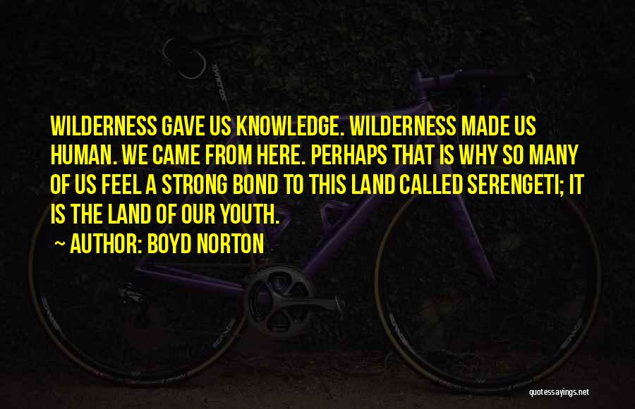 Boyd Norton Quotes: Wilderness Gave Us Knowledge. Wilderness Made Us Human. We Came From Here. Perhaps That Is Why So Many Of Us