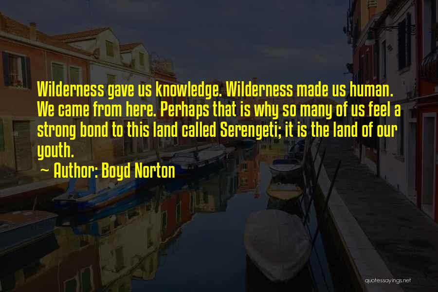 Boyd Norton Quotes: Wilderness Gave Us Knowledge. Wilderness Made Us Human. We Came From Here. Perhaps That Is Why So Many Of Us