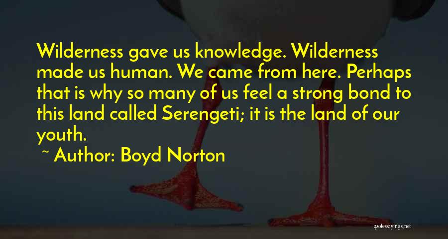 Boyd Norton Quotes: Wilderness Gave Us Knowledge. Wilderness Made Us Human. We Came From Here. Perhaps That Is Why So Many Of Us