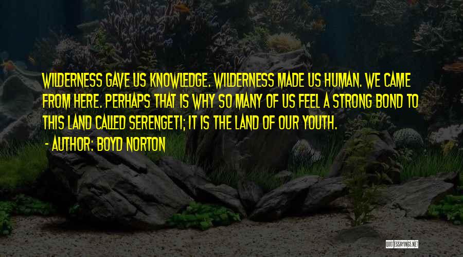Boyd Norton Quotes: Wilderness Gave Us Knowledge. Wilderness Made Us Human. We Came From Here. Perhaps That Is Why So Many Of Us