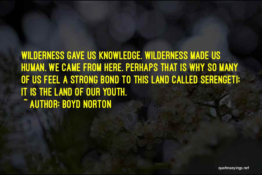 Boyd Norton Quotes: Wilderness Gave Us Knowledge. Wilderness Made Us Human. We Came From Here. Perhaps That Is Why So Many Of Us