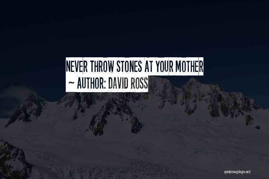 David Ross Quotes: Never Throw Stones At Your Mother