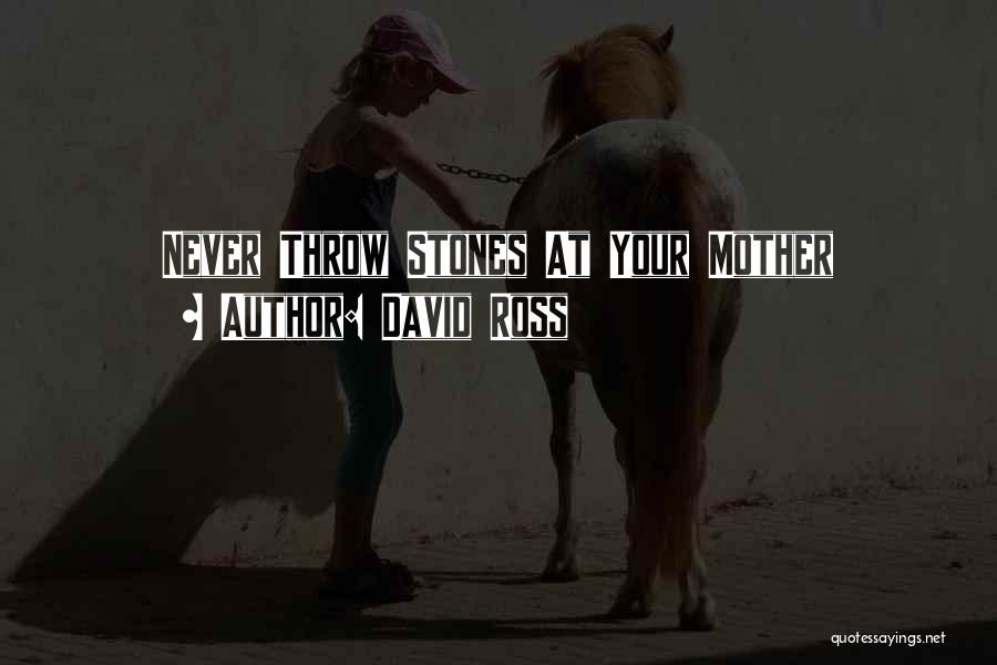 David Ross Quotes: Never Throw Stones At Your Mother