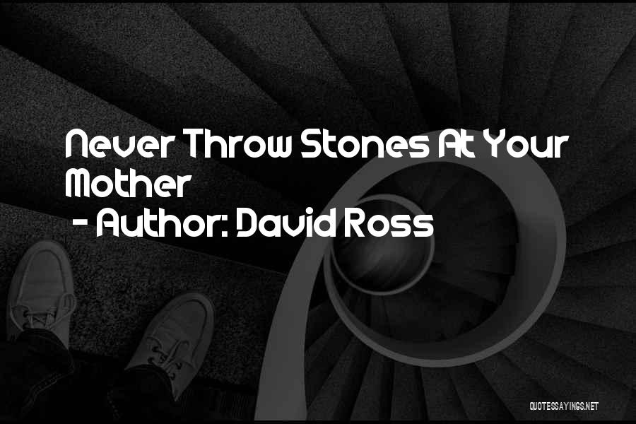 David Ross Quotes: Never Throw Stones At Your Mother