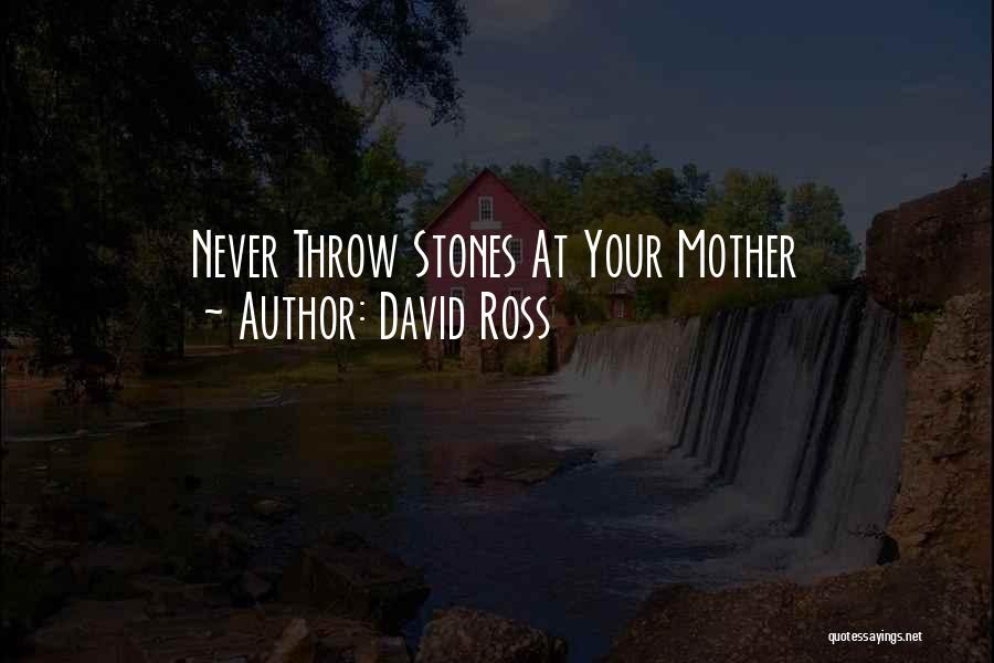 David Ross Quotes: Never Throw Stones At Your Mother