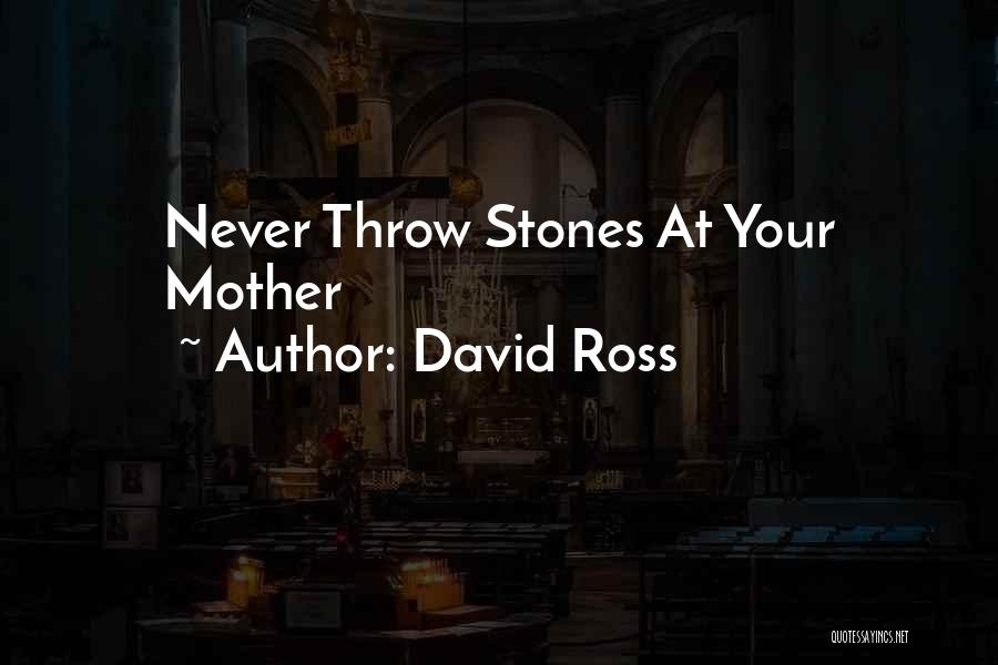 David Ross Quotes: Never Throw Stones At Your Mother
