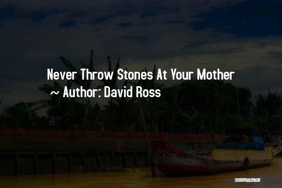 David Ross Quotes: Never Throw Stones At Your Mother