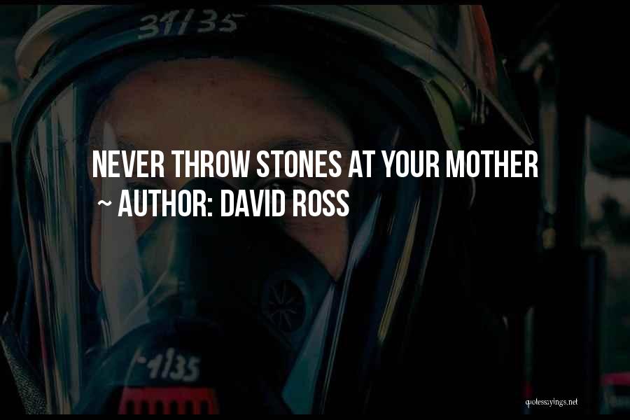 David Ross Quotes: Never Throw Stones At Your Mother