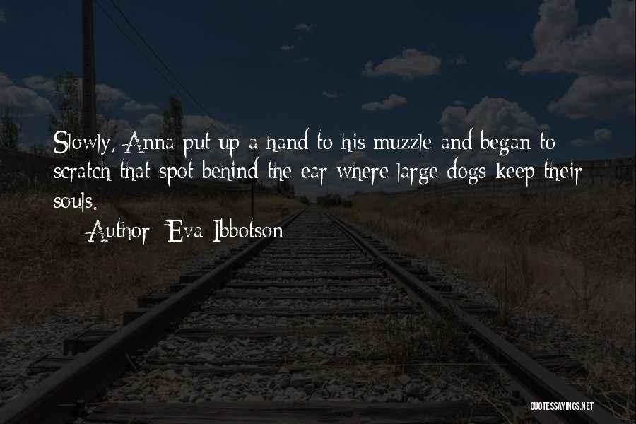 Eva Ibbotson Quotes: Slowly, Anna Put Up A Hand To His Muzzle And Began To Scratch That Spot Behind The Ear Where Large