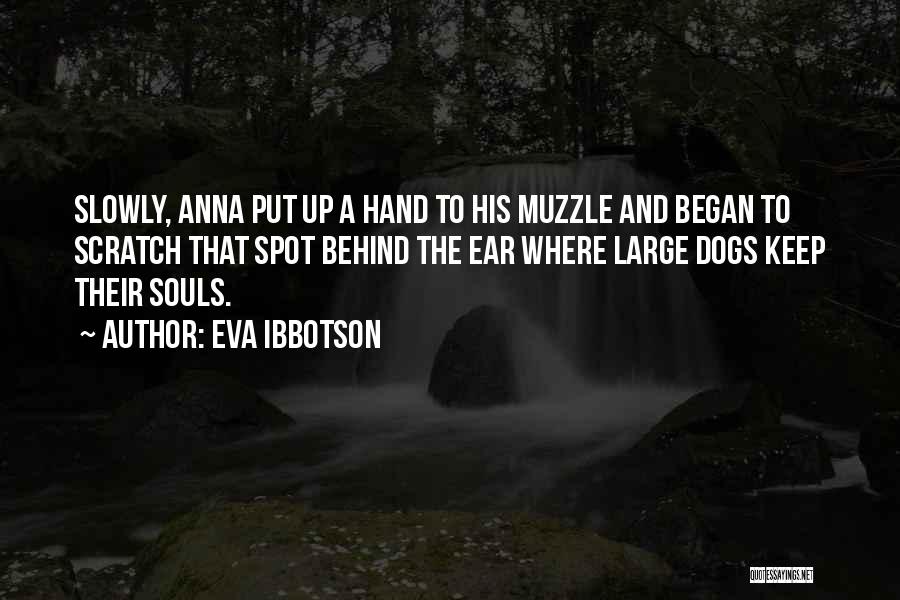 Eva Ibbotson Quotes: Slowly, Anna Put Up A Hand To His Muzzle And Began To Scratch That Spot Behind The Ear Where Large