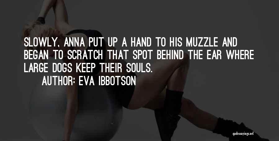 Eva Ibbotson Quotes: Slowly, Anna Put Up A Hand To His Muzzle And Began To Scratch That Spot Behind The Ear Where Large