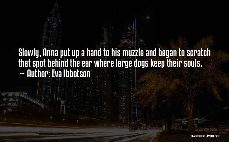 Eva Ibbotson Quotes: Slowly, Anna Put Up A Hand To His Muzzle And Began To Scratch That Spot Behind The Ear Where Large
