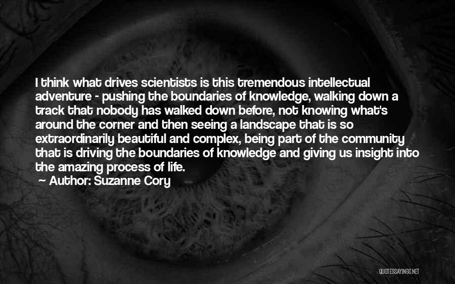 Suzanne Cory Quotes: I Think What Drives Scientists Is This Tremendous Intellectual Adventure - Pushing The Boundaries Of Knowledge, Walking Down A Track