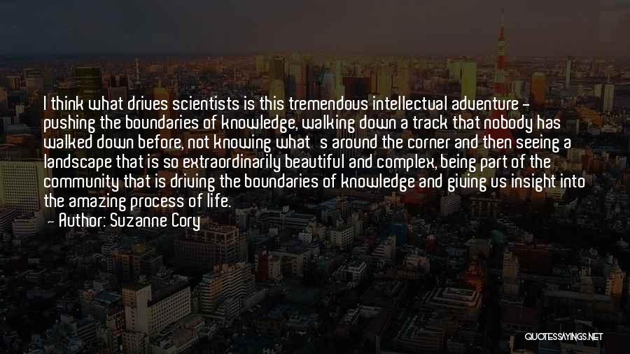 Suzanne Cory Quotes: I Think What Drives Scientists Is This Tremendous Intellectual Adventure - Pushing The Boundaries Of Knowledge, Walking Down A Track