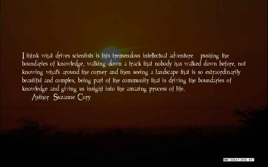 Suzanne Cory Quotes: I Think What Drives Scientists Is This Tremendous Intellectual Adventure - Pushing The Boundaries Of Knowledge, Walking Down A Track