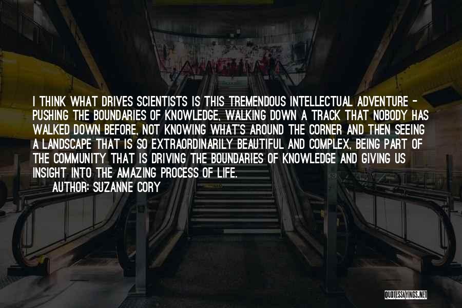 Suzanne Cory Quotes: I Think What Drives Scientists Is This Tremendous Intellectual Adventure - Pushing The Boundaries Of Knowledge, Walking Down A Track