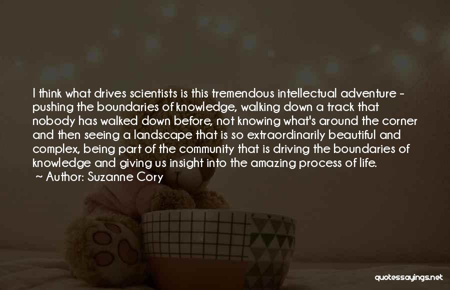 Suzanne Cory Quotes: I Think What Drives Scientists Is This Tremendous Intellectual Adventure - Pushing The Boundaries Of Knowledge, Walking Down A Track