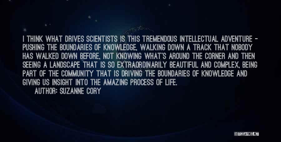 Suzanne Cory Quotes: I Think What Drives Scientists Is This Tremendous Intellectual Adventure - Pushing The Boundaries Of Knowledge, Walking Down A Track