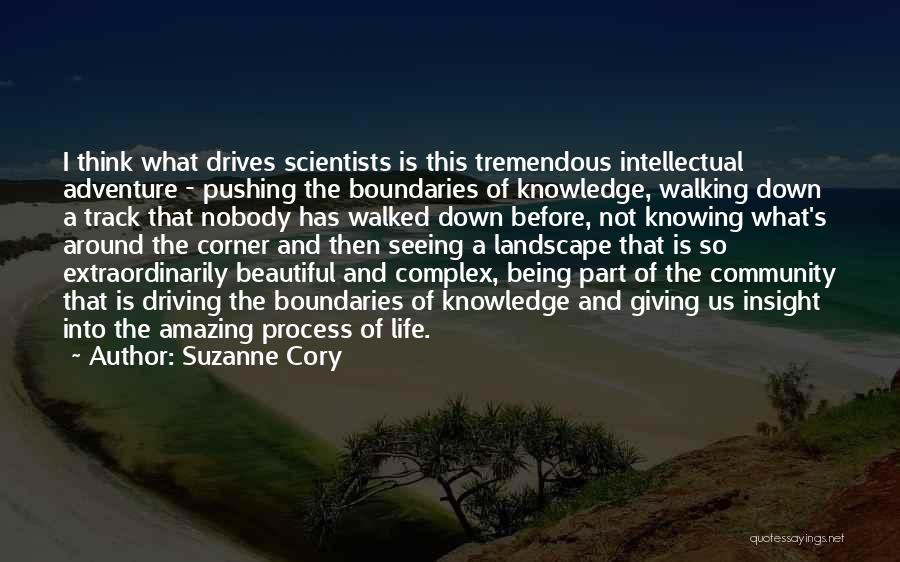 Suzanne Cory Quotes: I Think What Drives Scientists Is This Tremendous Intellectual Adventure - Pushing The Boundaries Of Knowledge, Walking Down A Track