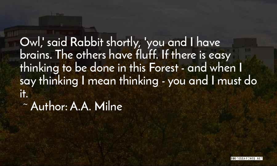 A.A. Milne Quotes: Owl,' Said Rabbit Shortly, 'you And I Have Brains. The Others Have Fluff. If There Is Easy Thinking To Be