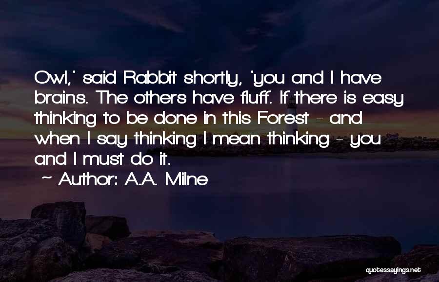 A.A. Milne Quotes: Owl,' Said Rabbit Shortly, 'you And I Have Brains. The Others Have Fluff. If There Is Easy Thinking To Be