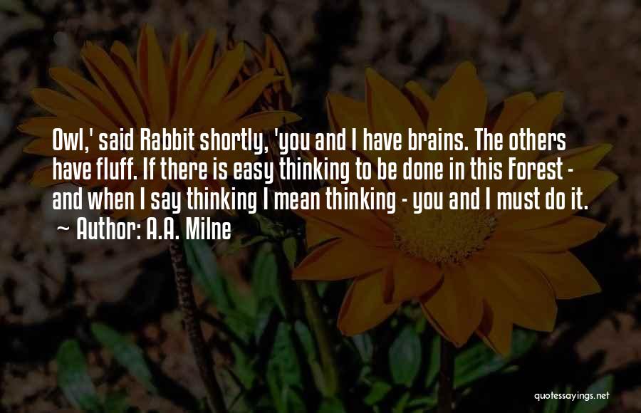 A.A. Milne Quotes: Owl,' Said Rabbit Shortly, 'you And I Have Brains. The Others Have Fluff. If There Is Easy Thinking To Be