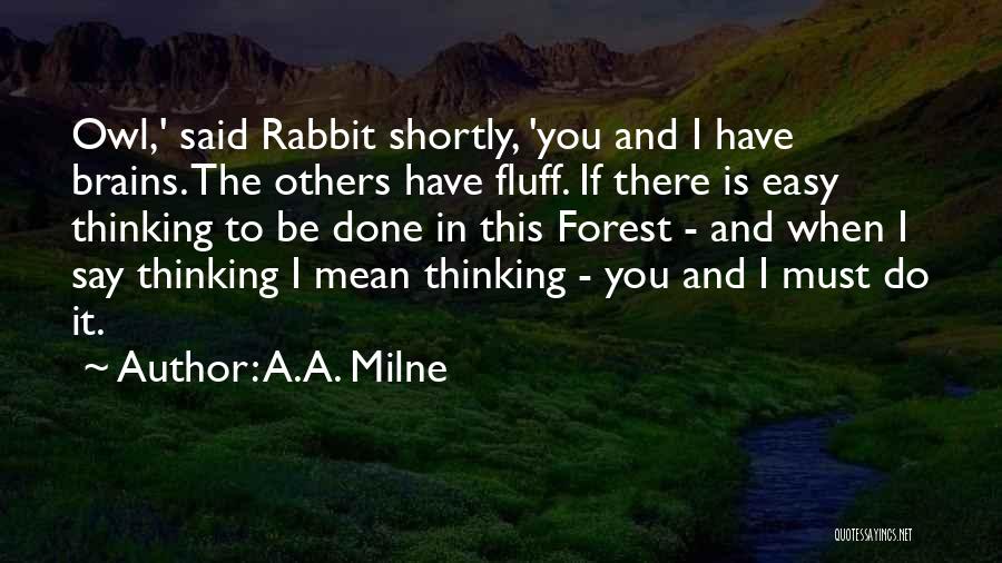 A.A. Milne Quotes: Owl,' Said Rabbit Shortly, 'you And I Have Brains. The Others Have Fluff. If There Is Easy Thinking To Be