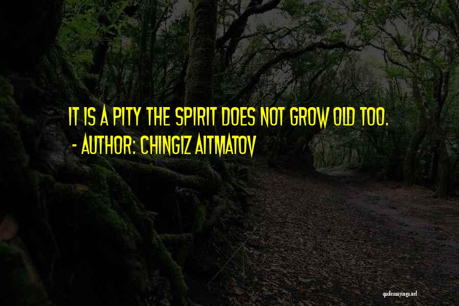 Chingiz Aitmatov Quotes: It Is A Pity The Spirit Does Not Grow Old Too.