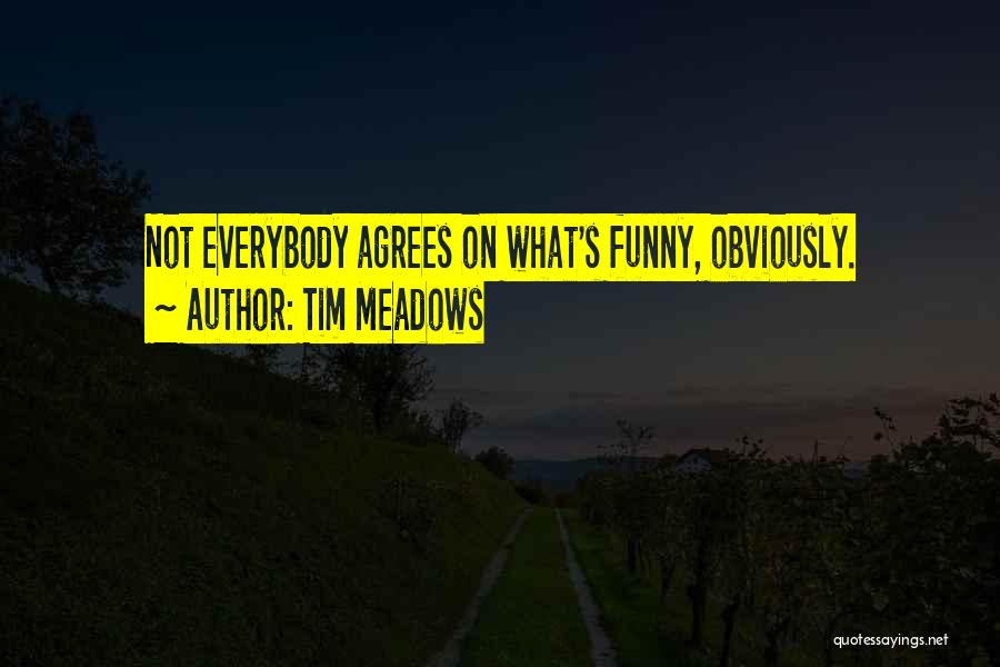 Tim Meadows Quotes: Not Everybody Agrees On What's Funny, Obviously.