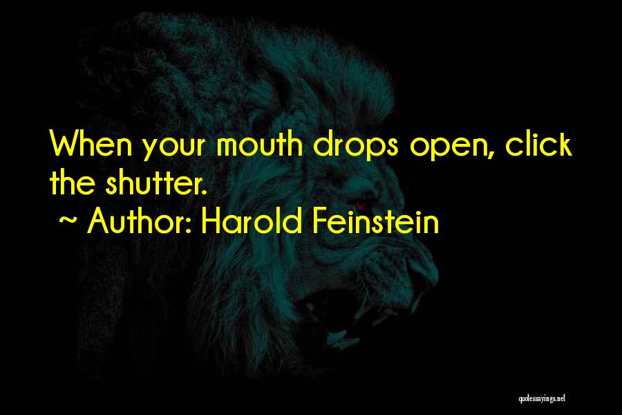 Harold Feinstein Quotes: When Your Mouth Drops Open, Click The Shutter.