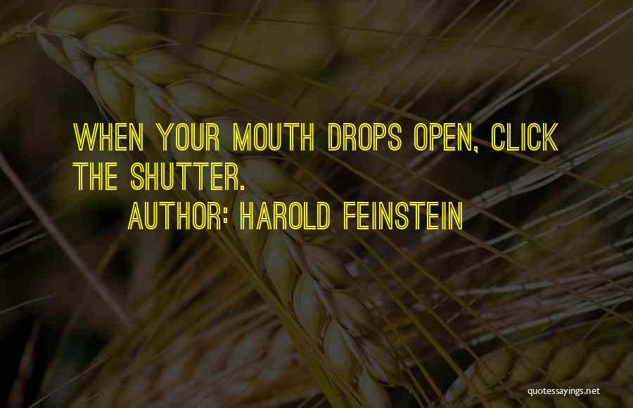 Harold Feinstein Quotes: When Your Mouth Drops Open, Click The Shutter.