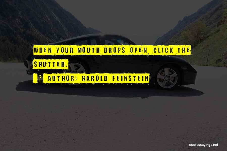 Harold Feinstein Quotes: When Your Mouth Drops Open, Click The Shutter.
