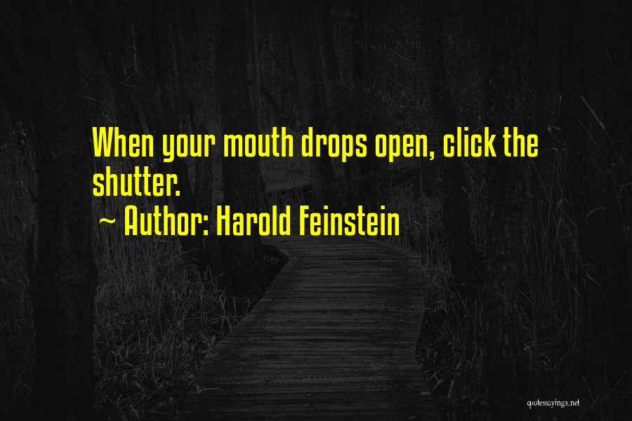 Harold Feinstein Quotes: When Your Mouth Drops Open, Click The Shutter.