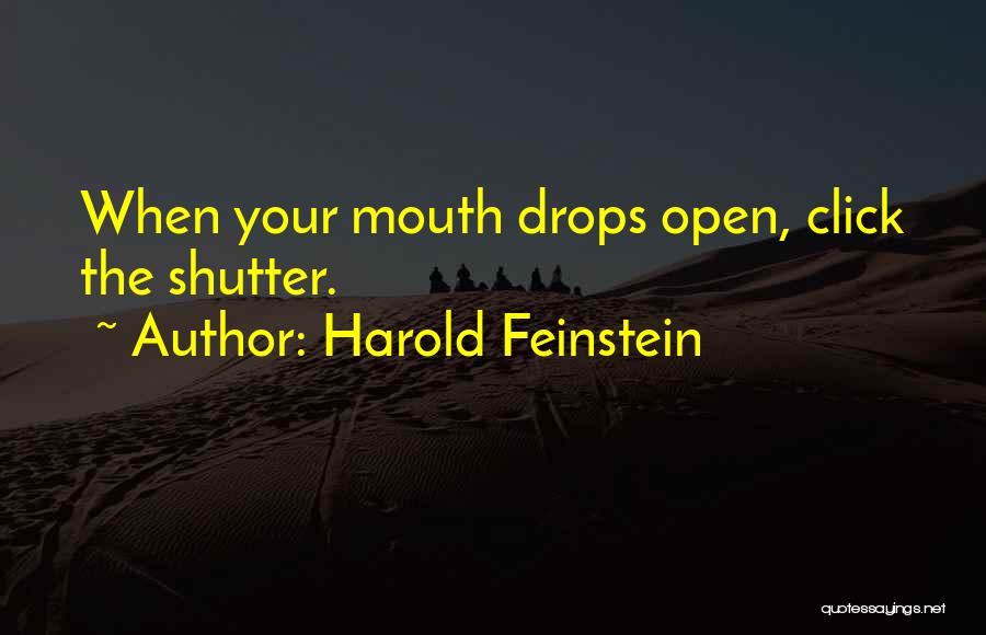 Harold Feinstein Quotes: When Your Mouth Drops Open, Click The Shutter.