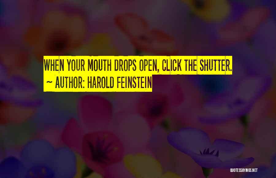 Harold Feinstein Quotes: When Your Mouth Drops Open, Click The Shutter.