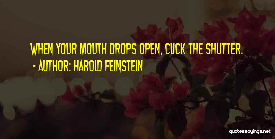 Harold Feinstein Quotes: When Your Mouth Drops Open, Click The Shutter.