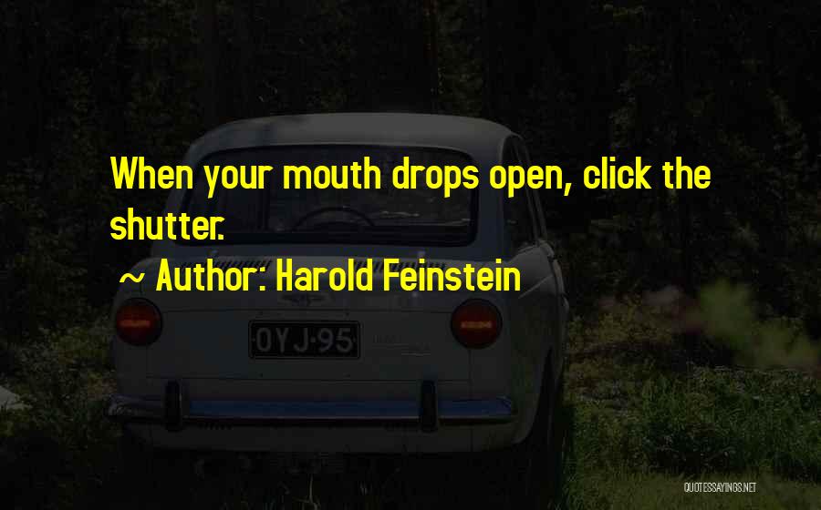 Harold Feinstein Quotes: When Your Mouth Drops Open, Click The Shutter.